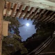 結浜