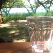 ちょこ(プロフ一読お願いします)