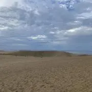 Alanの画像