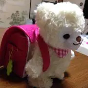 おまとめ割致します。の画像