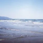 FSの画像