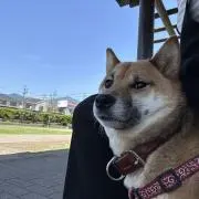 tomo87@なる早発送目指してます！の画像