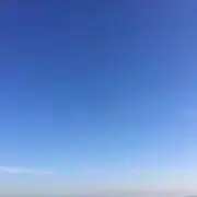 えのきの画像