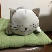 ねこすん