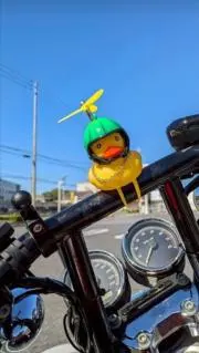 すぅの画像