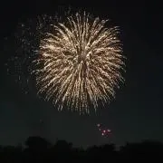 ななの画像