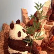 Sの画像