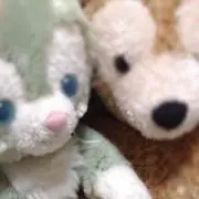 yの画像