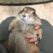 むいの画像