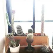 ♡♡♡の画像