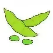 お豆の画像