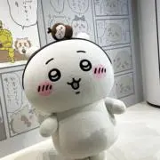 Sakuraの画像