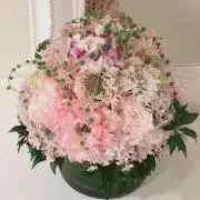 みやび　即日発送の画像