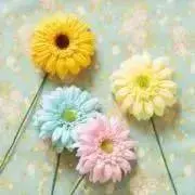 ballet☆の画像
