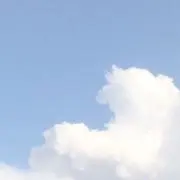 あいの画像