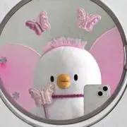 妃の画像