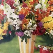 Peopleしまむら
