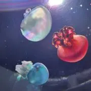 ❤︎にゃもん❤︎の画像