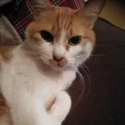 ちはるんの画像