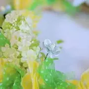 ちーの画像