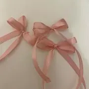 のんきの画像