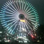 ぴこの画像