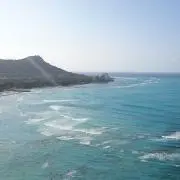 asaの画像