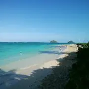 りんりん