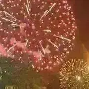 スイトの画像