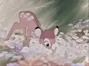 ✿の画像