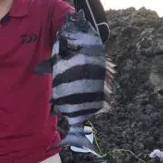 ひろじー