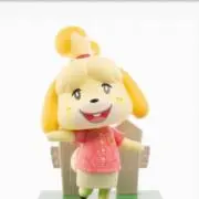 ピラヤマの画像
