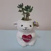 えっちゃんの画像