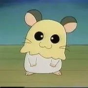ちびまるの画像