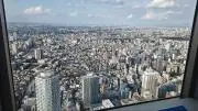 どんの画像