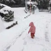 いーママ