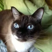 ☆ お み ☆の画像