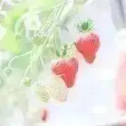 HWDの画像
