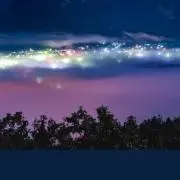 蒼の画像