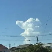みー！の画像
