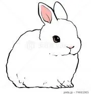 ゆきの画像