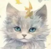 にゃんきちの画像