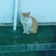 ラージ