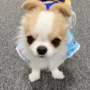 -miyabi-の画像