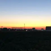 山ちゃんの画像
