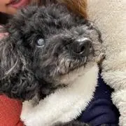 Runaの画像