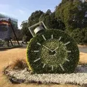 kazu