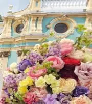 nira‪☆プロフ必読の画像