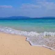 R1na14の画像