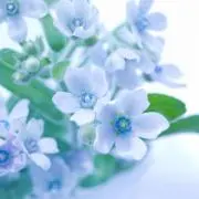MKの画像